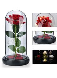 Enchanted Flower with Petals in Glass Dome Personalized Gifts for Women Girlfriend Valentine’s Day Mother’s Day Christmas Anniversary Birthday, Red