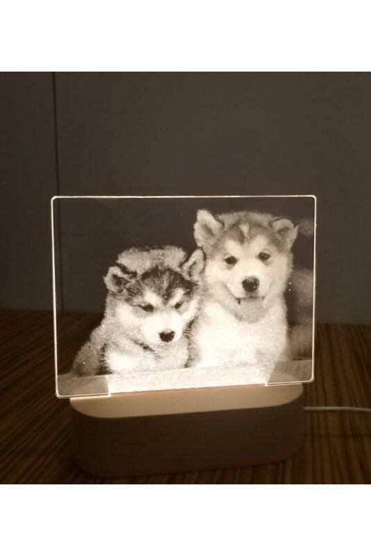 3D Acrylic Night Light Table Lamp with Wooden Base, Best Gift for Birthday, Anniversary, and Home Decor (Dogs)