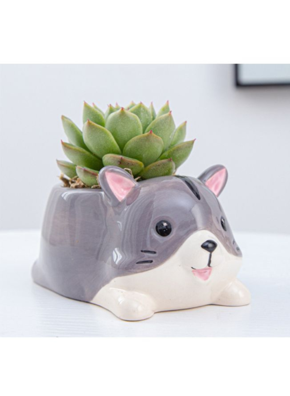 Cute Succulent Planter, Succulent Pots with Drainage Hole Flower Plant Pot Cartoon Ceramic Tiny Pot for Indoor Mini Flower Planters Cactus Container 1 Pc