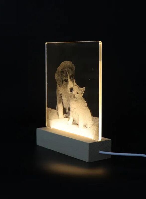 3D Acrylic Night Light Table Lamp with Wooden Base, Best Gift for Birthday, Anniversary, and Home Decor (Loving Cat and Dog)