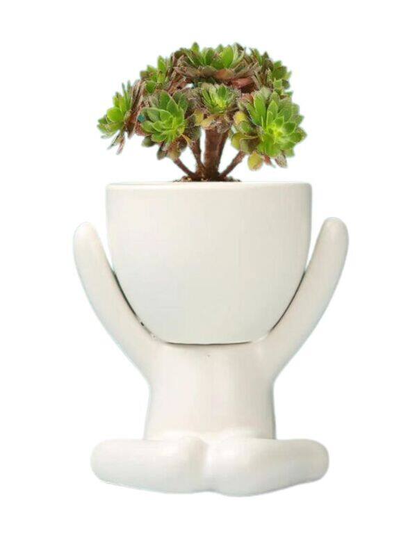 

Generic Ceramic Succulent White Plant Pot Creative Human Shaped Small Cactus pots Flower Pots Mini Plant Planters for Desktop Usage Home Decoration, Man 2