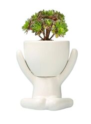 Ceramic Succulent White Plant Pot Creative Human Shaped Small Cactus pots Flower Pots Mini Plant Planters for Desktop Usage Home Decoration, Man 2