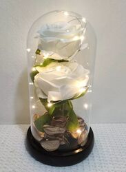 2 White Rose Dome Lights,Rose Flowers Light in a Glass,Artificial Flowers Rose Gift Warm White Light Gifts for Valentines/Birthday/Christmas/Wedding Gift