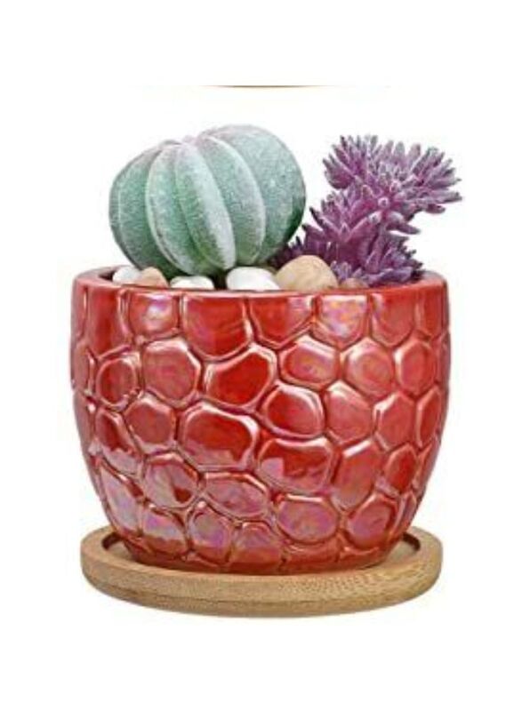Indoor Plant Pot with drainage hole and tray for Balcony, Home Garden, Red