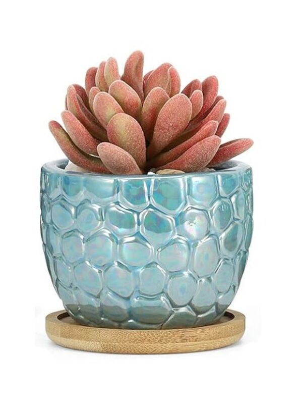 Indoor Plant Pot with drainage hole and tray for Balcony, Home Garden, Light Blue