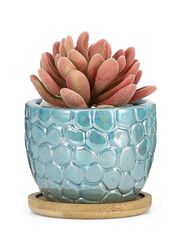 Indoor Plant Pot with drainage hole and tray for Balcony, Home Garden, Light Blue