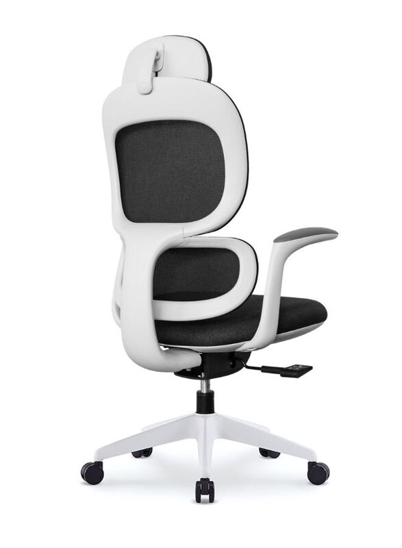 Modern Executive Ergonimic Office Chair With Sliding Seat and Headrest, White Frame for Office, Home and Shops, Black