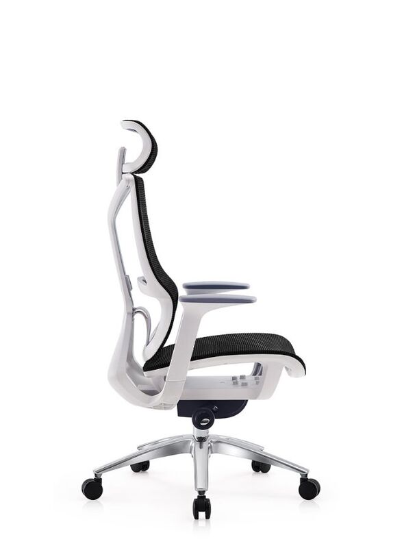 Modern Ergonomic Office Chair With Headrest And Aluminum Base for Office, Home Office and Shops, High Back, Black