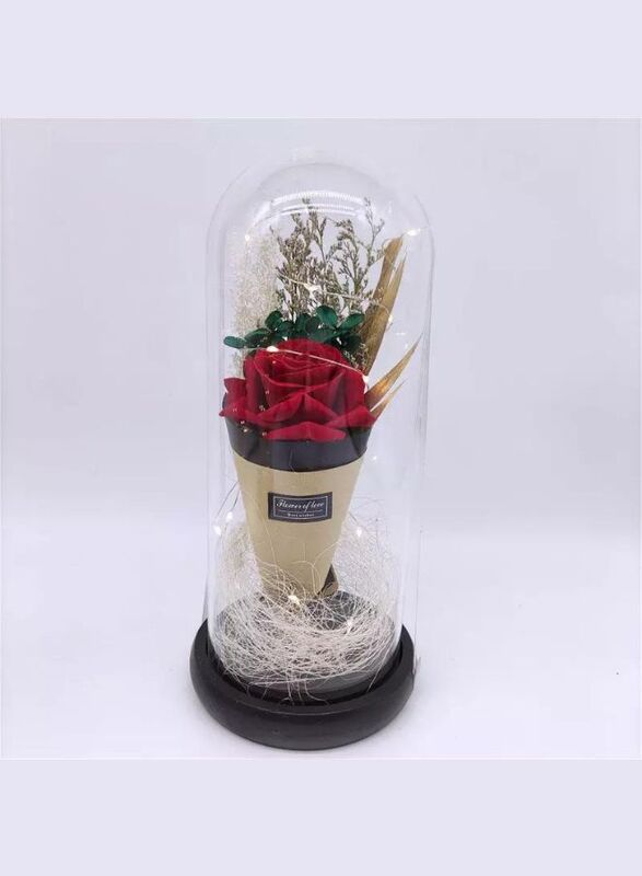 LED Light Dried Flowers In Glass Dome Artificial Dried Flower Bouquet Gift For Valentine's Day/Birthday/Christmas/Wedding Gift