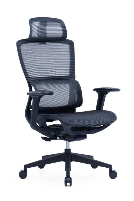 Modern Sleek Black Mesh Office Chair with 3D Armrests, Headrest and Four-Position Lock for Home or Office