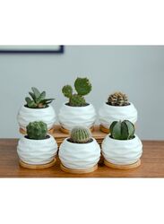 6 Pcs Geometric Succulent Planter, Set of 6 White Ceramic Succulent Cactus Wave Design Planter Pots with Bamboo Tray(Plants NOT Included)