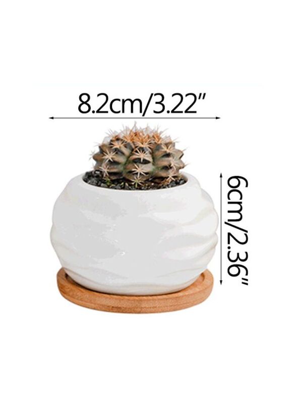 White succulent plant pot with bamboo tray and drainage hole for desk, office, home garden