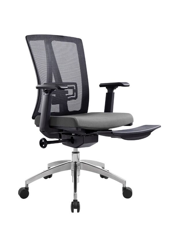 Modern Ergonomic Office Chair with Adjustable Armrest and Footrest for Office Executives and Managers, Grey