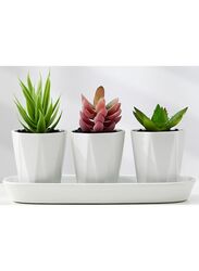 3 Pcs Geometric Succulent Planter with Trey, Set of 3 White Ceramic Succulent Cactus Square Planter Pots with Bamboo Tray(Plants NOT Included)