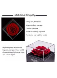 Womens Rose Gifts for Her Rose Flower Jewelry Box with Heart Shape Necklace for Women,Wife,Grandma Valentines Day,Birthday Gifts with Greeting Card and Bag included