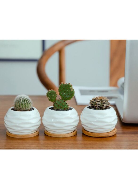 6 Pcs Geometric Succulent Planter, Set of 6 White Ceramic Succulent Cactus Wave Design Planter Pots with Bamboo Tray(Plants NOT Included)