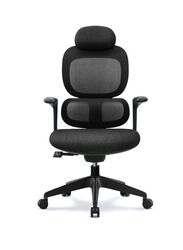 Modern Executive Ergonimic Office Chair With Headrest, Black Base for Office, Home and Shops, Black