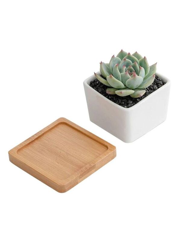 6 Pcs Geometric Succulent Planter, Set of 6 White Ceramic Succulent Cactus Square Planter Pots with Bamboo Tray(Plants NOT Included)