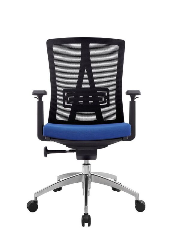 Modern Ergonomic Office Chair with Adjustable Armrest and Footrest for Office Executives and Managers, Blue