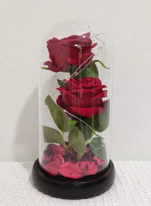 2 Red Roses Dome Lights,Rose Flowers Light in a Glass,Artificial Flowers Rose Gift Warm White Light Gifts for Valentines/Birthday/Christmas/Wedding Gift