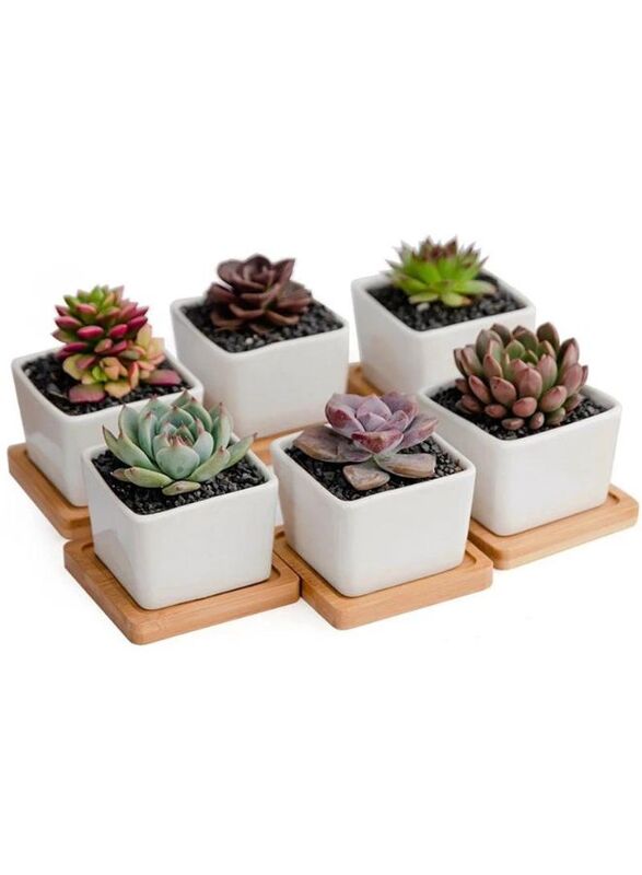 6 Pcs Geometric Succulent Planter, Set of 6 White Ceramic Succulent Cactus Square Planter Pots with Bamboo Tray(Plants NOT Included)