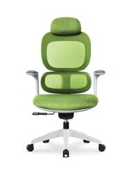 Modern Executive Ergonimic Office Chair With Headrest, White Frame for Office, Home and Shops, Green