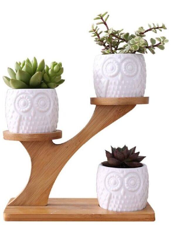 

Generic Cute Owl Pot Succulent Planter Flowerpot Decor for Home Office Desk with Bamboo Saucers Stand Holder (Owl Pot with Stand)