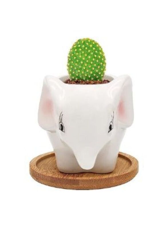 Cute Succulent Planter, Succulent Pots with Drainage Hole Flower Plant Pot Cartoon Ceramic Tiny Pot for Indoor Mini Flower Planters Cactus Container