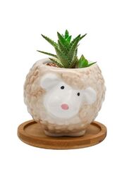 Cute Succulent Planter, Succulent Pots with Drainage Hole Flower Plant Pot Cartoon Ceramic Tiny Pot for Indoor Mini Flower Planters Cactus Container