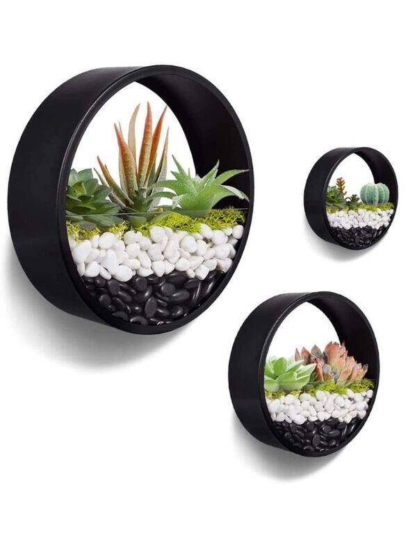 

Generic Set of 3 Wall Vases Metal Glass Round Wall Flower Pots Wall Terrarium Vertical Container Wall Vases Succulents Herbs Planter Decor for Garden, Balcony