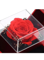 Ravishing Red Gift Box: Store and Showcase Your Treasures in Style (Without Necklace)