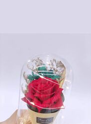 LED Light Dried Flowers In Glass Dome Artificial Dried Flower Bouquet Gift For Valentine's Day/Birthday/Christmas/Wedding Gift