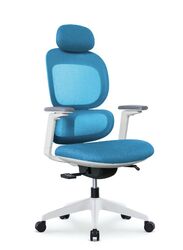 Modern Executive Ergonimic Office Chair With Sliding Seat and Headrest, White Frame for Office, Home and Shops, Blue