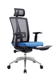 Modern Ergonomic Office Chair with Adjustable Headrest, Armrest and Footrest for Office Executives and Managers, Blue