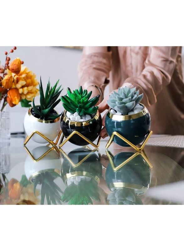 3pcs Small Succulent Planter Succulent Plant Pots Plant Container Small Flowerpot Succulent Container for Store Office Home Decoration (plant not included)