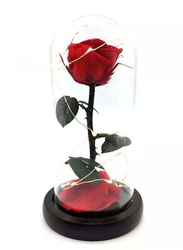 Preserved Rose Enchanted Rose Red Silk Rose in Glass Dome with LED Lights Pine Base, Romantic Home Decor Gifts for Mothers Day Wedding Anniversary Birthday Valentines Day