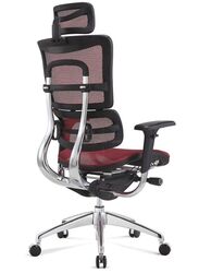 Modern Executive High Back Mesh Managers Chair, Plum Red