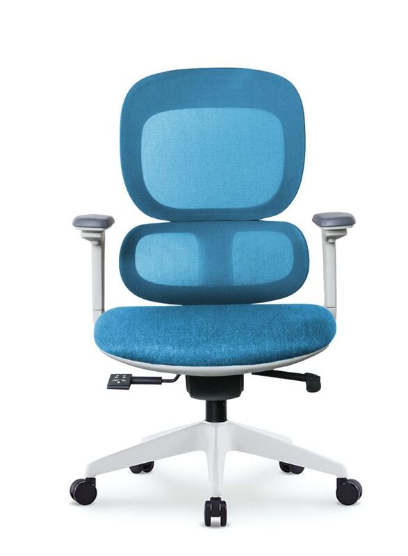 Modern Executive Ergonimic Office Chair with Sliding Seat, Without Headrest, White Frame for Office, Home and Shops, Blue