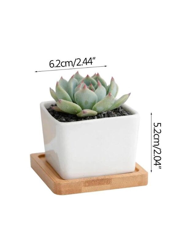 6 Pcs Geometric Succulent Planter, Set of 6 White Ceramic Succulent Cactus Square Planter Pots with Bamboo Tray(Plants NOT Included)