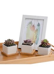 6 Pcs Geometric Succulent Planter, Set of 6 White Ceramic Succulent Cactus Square Planter Pots with Bamboo Tray(Plants NOT Included)