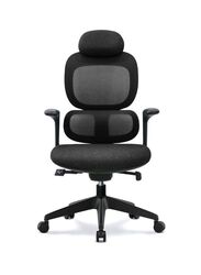 Modern Executive Ergonimic Office Chair With Sliding Seat and Headrest, Black Base for Office, Home and Shops, Black