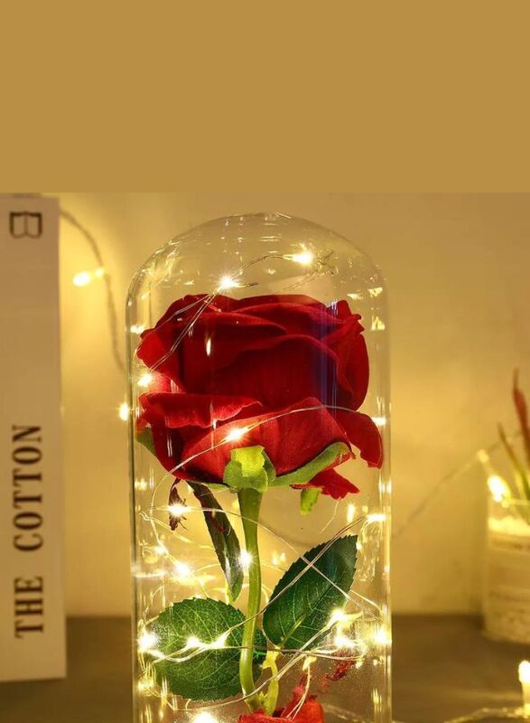 Enchanted Flower with Petals in Glass Dome Personalized Gifts for Women Girlfriend Valentine’s Day Mother’s Day Christmas Anniversary Birthday, Red