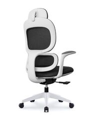 Modern Executive Ergonimic Office Chair With Headrest, White Frame for Office, Home and Shops, Black
