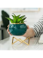 3pcs Small Succulent Planter Succulent Plant Pots Plant Container Small Flowerpot Succulent Container for Store Office Home Decoration (plant not included)