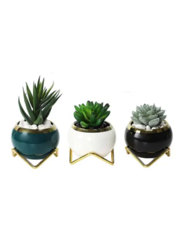 3pcs Small Succulent Planter Succulent Plant Pots Plant Container Small Flowerpot Succulent Container for Store Office Home Decoration (plant not included)