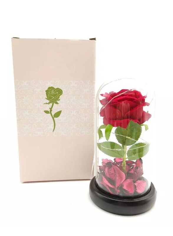 

Generic Enchanted Red Rose with Petals in Glass Dome Personalized Gifts for Women Girlfriend Valentine’s Day Mother’s Day Christmas Anniversary Birthday