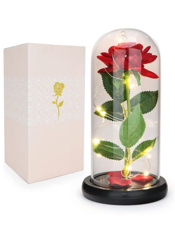 Enchanted Flower with Petals in Glass Dome Personalized Gifts for Women Girlfriend Valentine’s Day Mother’s Day Christmas Anniversary Birthday, Red