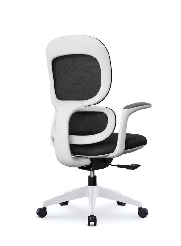 Modern Executive Ergonimic Office Chair with Sliding Seat, Without Headrest, White Frame for Office, Home and Shops, Black