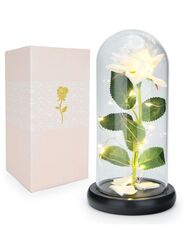 Enchanted Flower with Petals in Glass Dome Personalized Gifts for Women Girlfriend Valentine’s Day Mother’s Day Christmas Anniversary Birthday, White