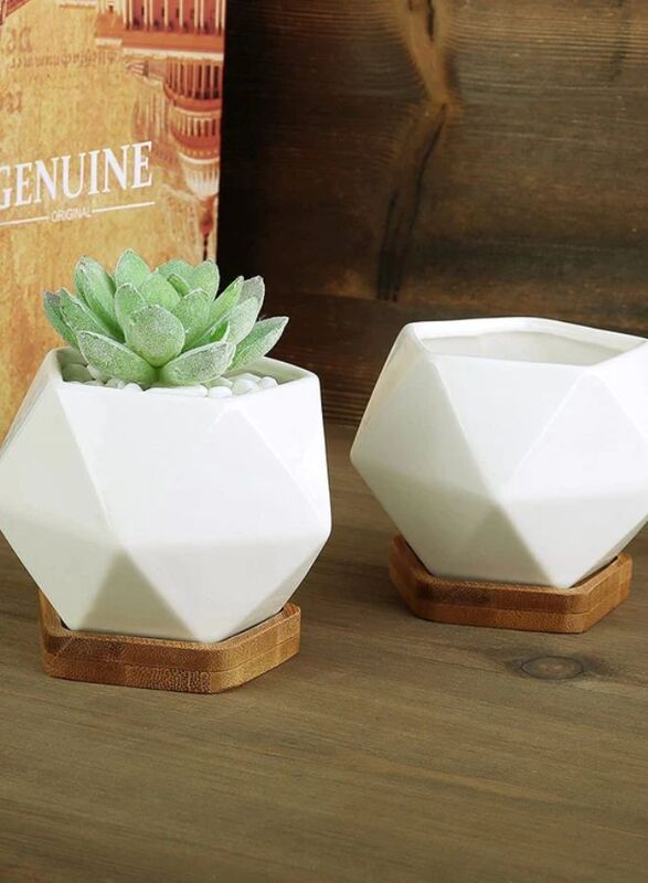 White succulent plant pot with bamboo tray and drainage hole for desk, office, home garden